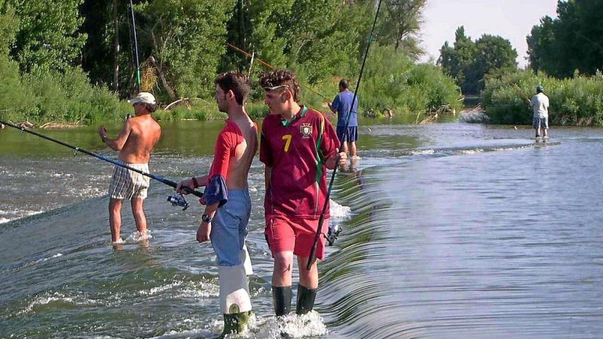 Un grupo de aficionados a la pesca de ciprínidos durante una jornada en el Pisuerga.-LEONARDO DE LA FUENTE