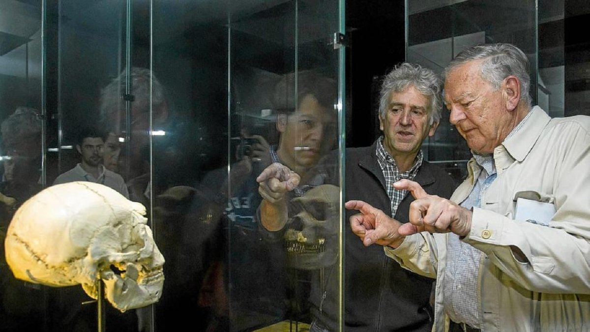 El descubridor del ejemplar de Austrolopithecus Afarensis Donald Johanson, durante su visita al Museo de la Evolución Humana de Burgos.-SANTI OTERO