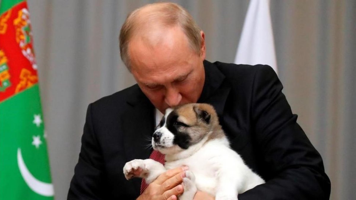 El presidente ruso Vladimir Putin  besa un perro pastor de Asia Central.-MAXIM SHEMETOV / EFE