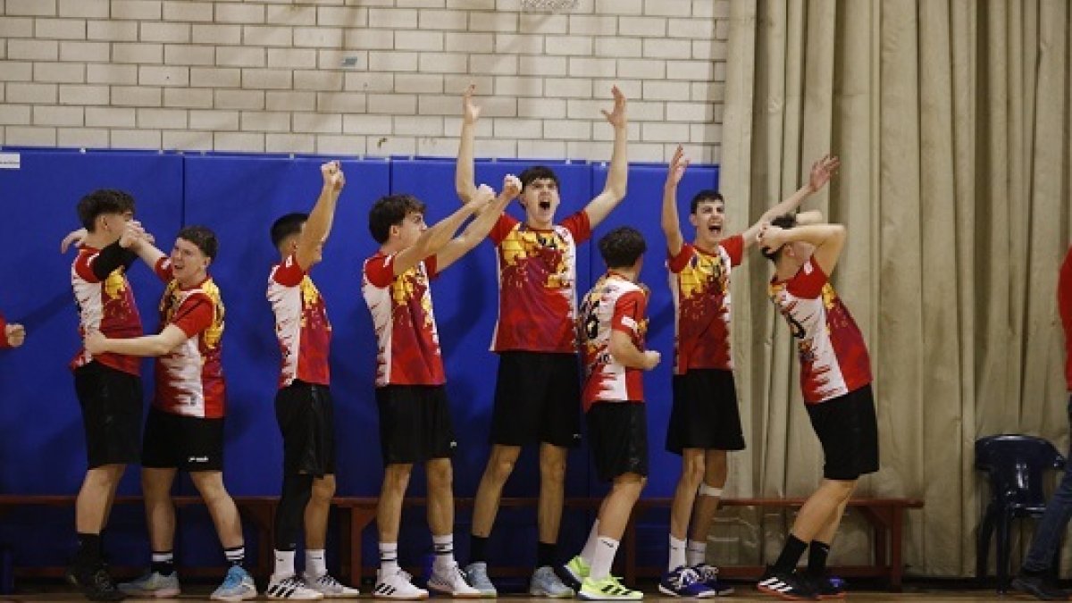 Los cadetes de Castilla y León celebran un gol.