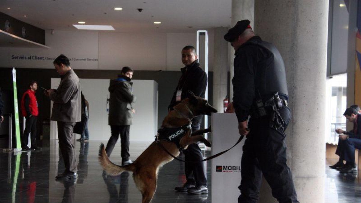 Un perro policía de la Unidad Canina de los Mossos explorando una papelera durante el Mobile World Congress-LAURA FÍGULS / ACN