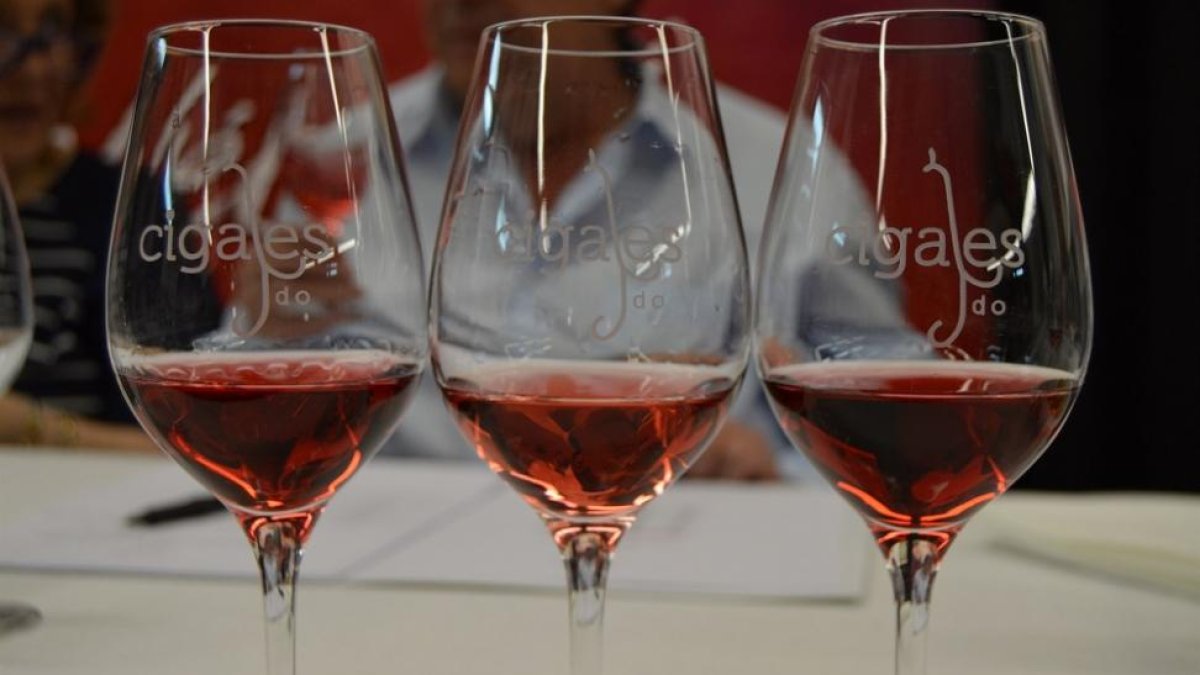 Copas con vinos de Cigales.-EUROPA PRESS