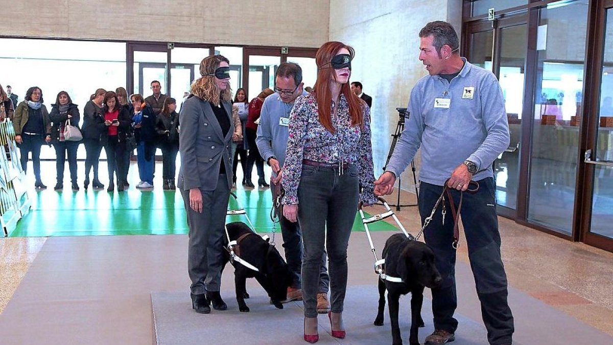 Alicia García y Silvia Clemente participan en una exhibición de perros guía en una pista de adiestramiento.-ICAL