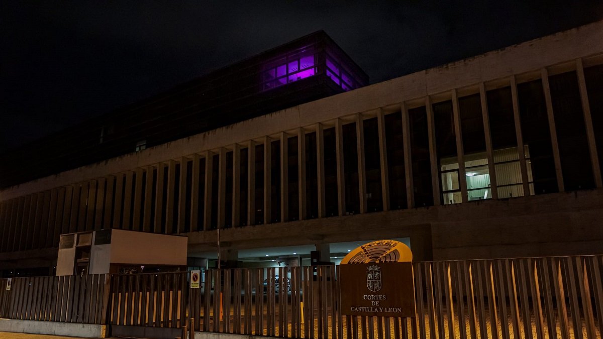 El Grupo Socialista luce en morado en sus dependencias de las Cortes. - E.M.