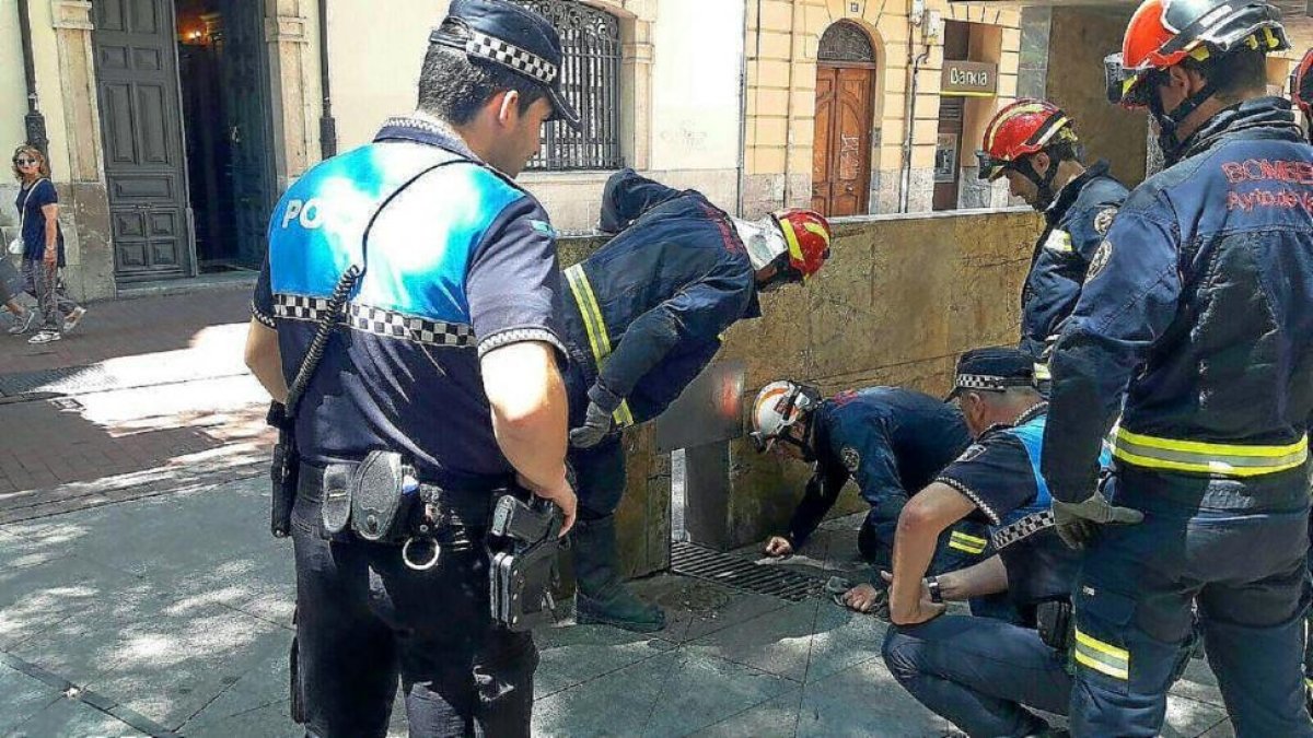 Actuación de los bomberos ante las abejas.-E.M.