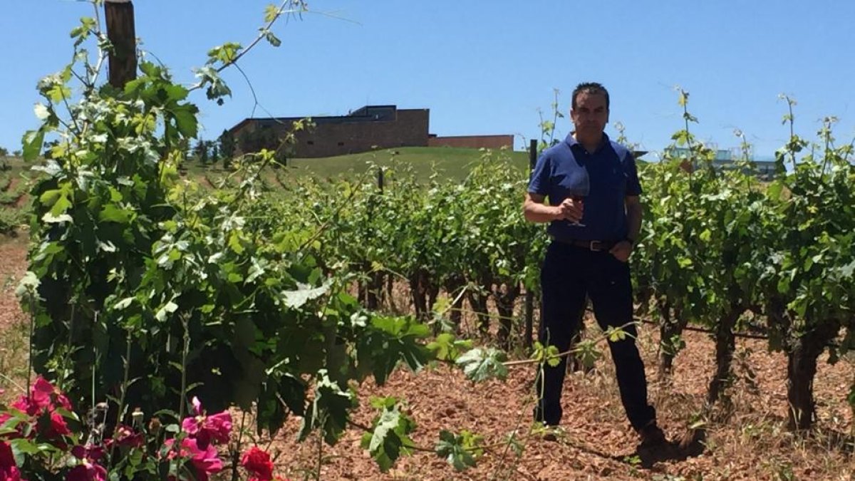 Abel Buezo en los viñedos de su finca ubicada en el municipio de Mahamud.-EL MUNDO