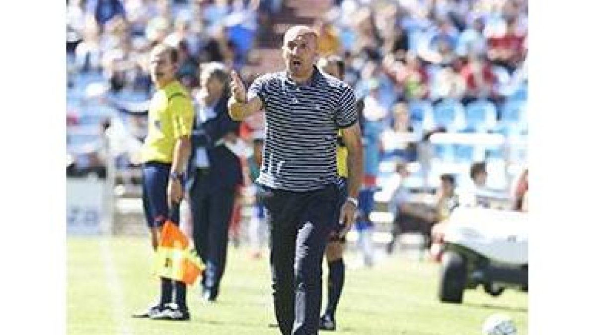 El técnico zaragocista en la banda de la Romareda-Agencias