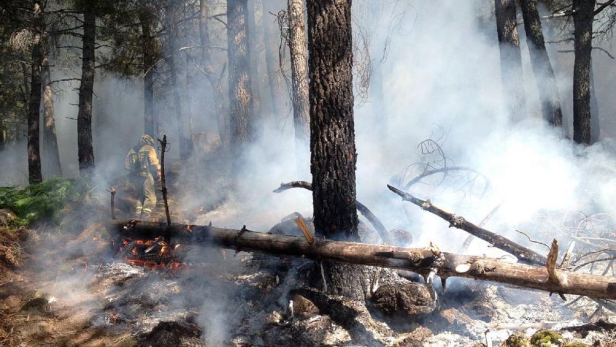 Incendio forestal registrado hace unos días en El Hornillo (Ávila).-ATBRIF