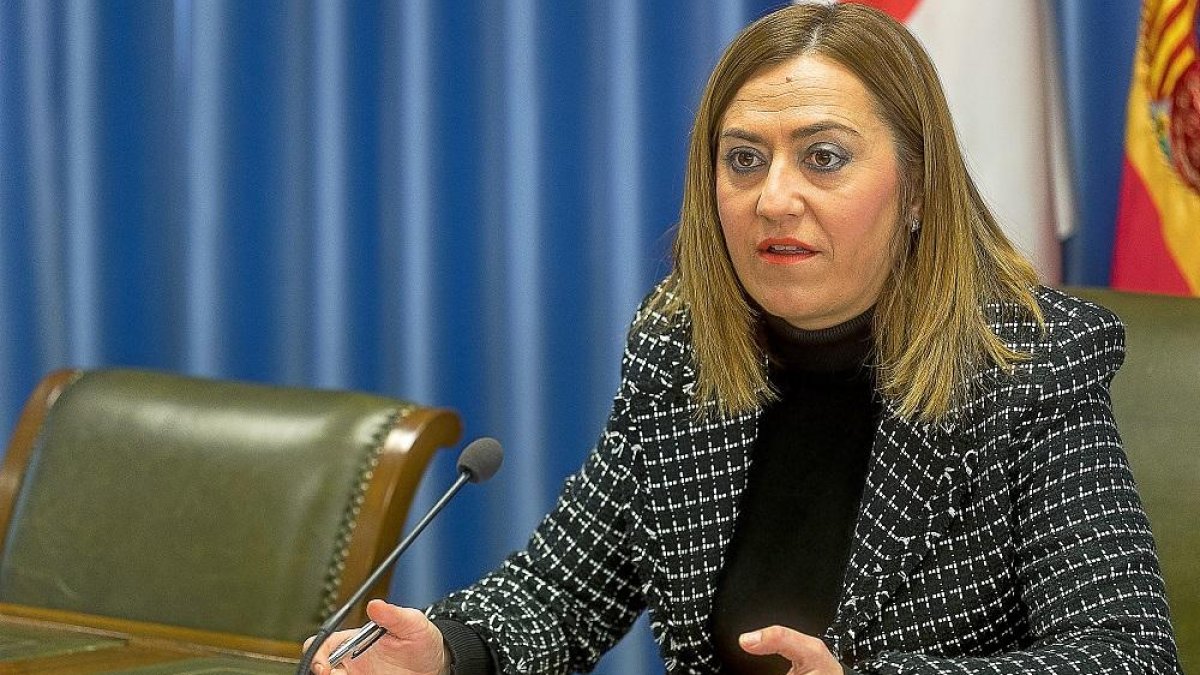 La delegada del Gobierno en Castilla y León, Virginia Barcones, en una imagen de archivo