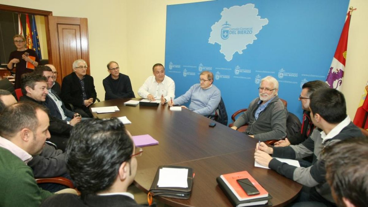 Reunión en el Consejo Comarcal de los diferentes agentes sociales y políticos del Bierzo para analizar la situación de la generación de energía térmica en la comarca.-ICAL
