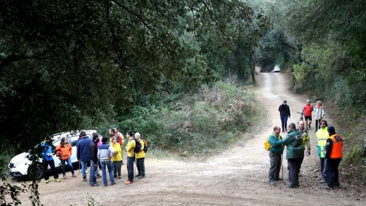 Grupos de voluntarios buscando a Jordi.-JOAN CASTRO / ICONNA