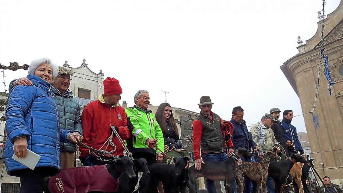 Los ocho galgos finalistas antes de las cuatro finales a celebrar.-LEONARDO DE LA FUENTE