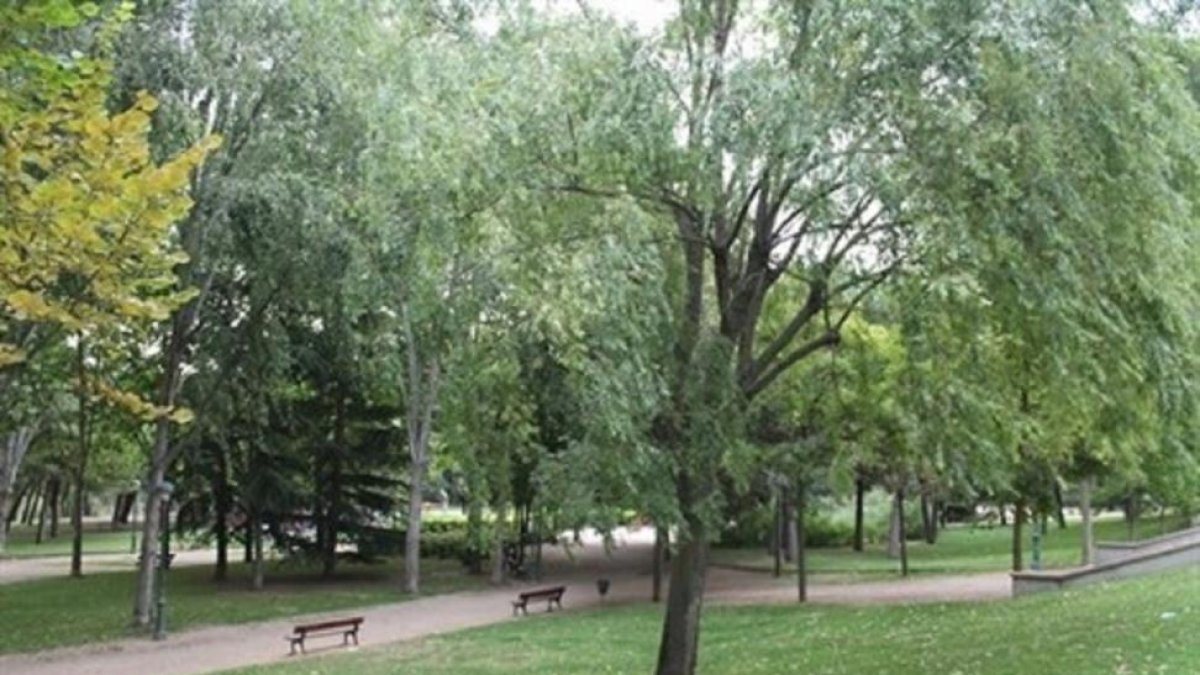 Parque Rivera de Castilla.-EUROPA PRESS