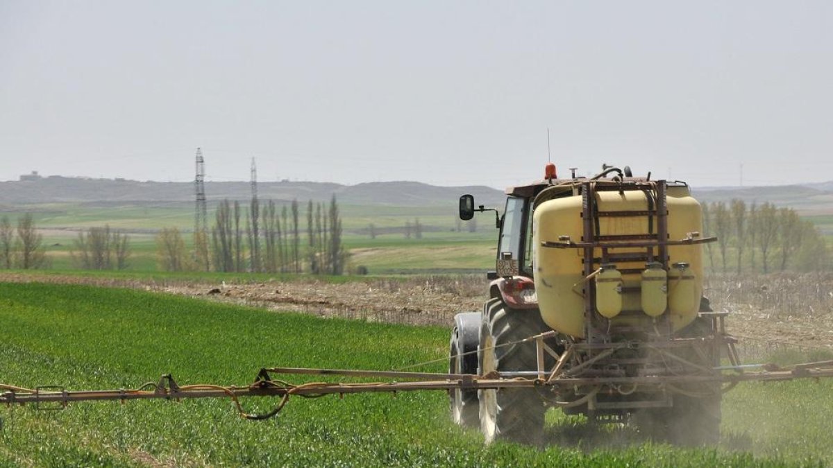El uso de productos para la protección vegetal ha tenido gran impacto en la agricultura.