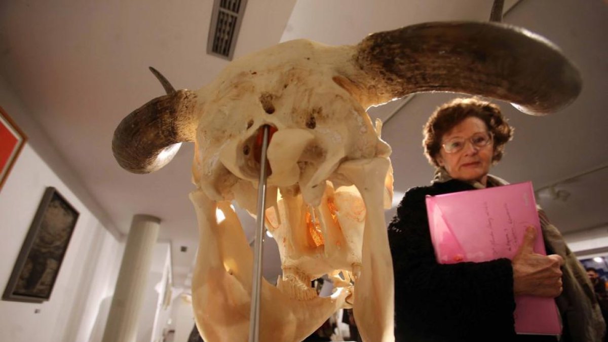 Exposición 'VacceArte, el bestiario Vacceo'-Ical