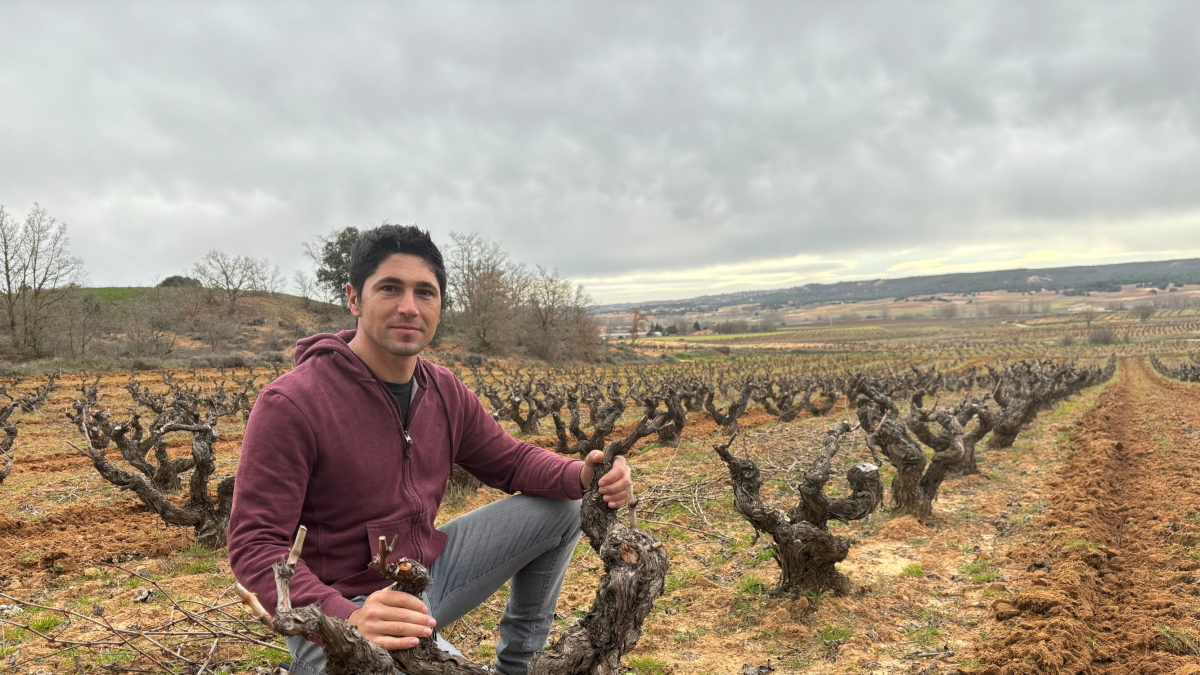 Daniel Maestre, junto a uno de sus viñedos. -E.C.B.