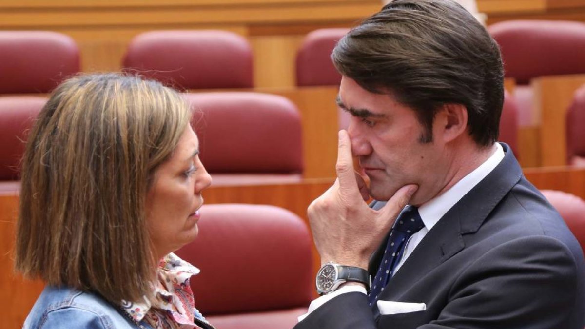 La consejera de Agricultura, Milagros Marcos, junto al consejero de Fomento, Juan Carlos Suárez-Quiñones, durante el pleno en las Cortes de Castilla y León-Ical