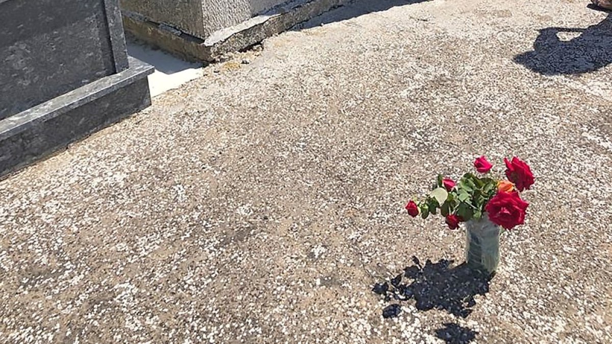 Flores en el área de excavación de la fosa en el cementerio de Villadangos.- ARMH