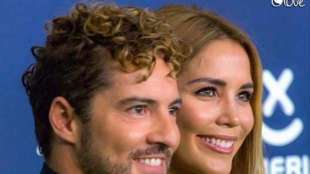 David Bisbal y su pareja, Rossanna Zannetti.-INSTAGRAM