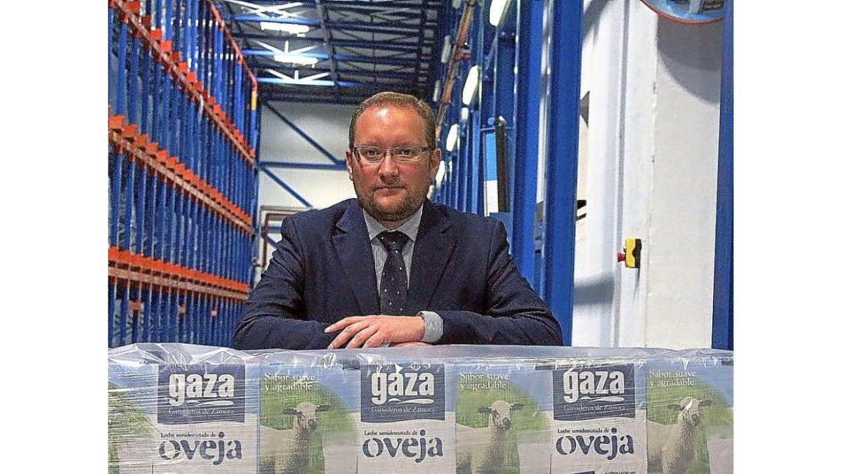 Ignacio Quintanilla, gerente de la empresa Gaza, posa sobre un palé con envases de leche de oveja.-J. L. C.
