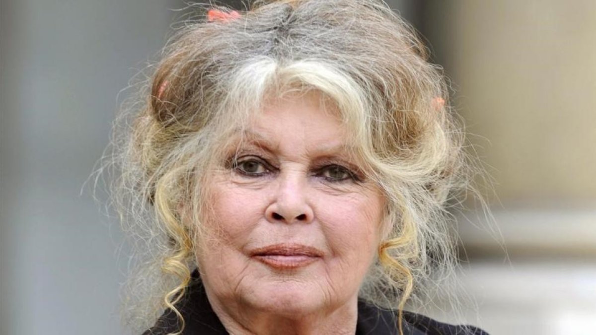 Brigitte Bardot, en una imagen del 2007.-/ ERIC FEFERBERG