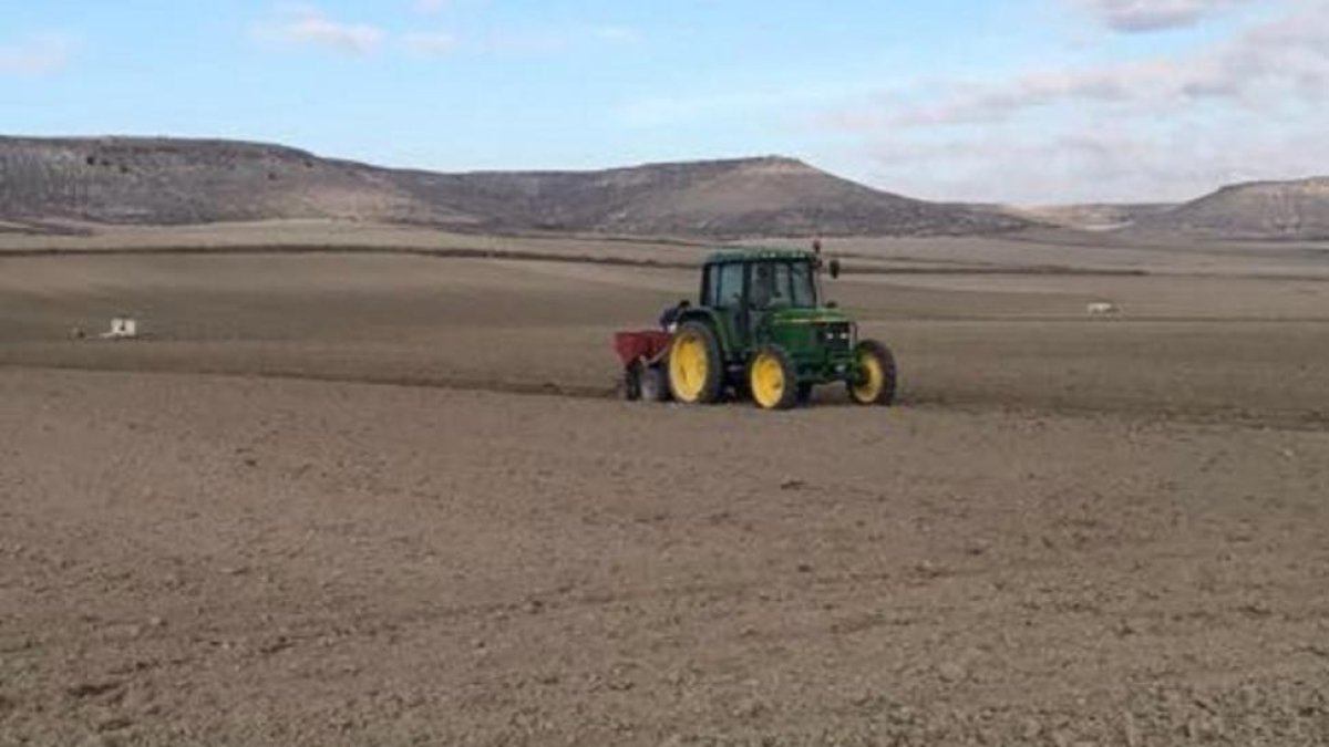 Un agricultor con su tractor sembrando ajo en la zona de Vallelado (Segovia).-O. CUÉLLAR