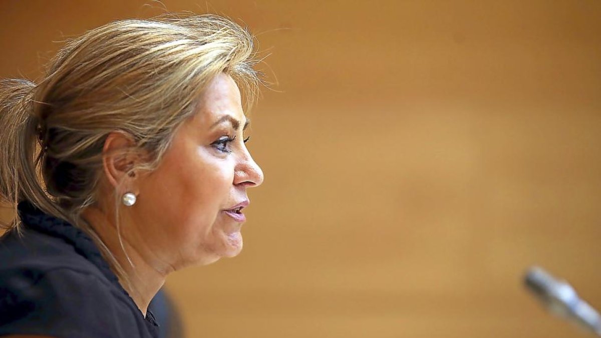 La vicepresidenta de la Junta, Rosa Valdeón, ayer, en rueda de prensa.-ICAL