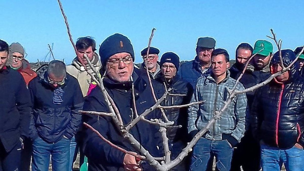Francisco Couceiro, especialista en el sector, en un curso sobre la poda del pistacho en Valladolid.-E.M.