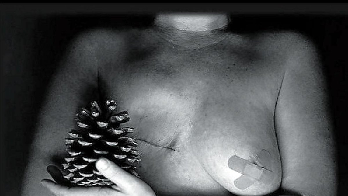 Imagen de la portada del calendario solidario erótico a favor de la lucha contra el cáncer .-E.M.