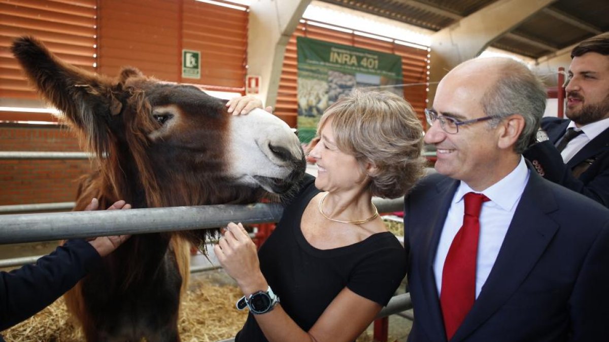 La ministra de Agricultura y Pesca, Alimentación y Medio Ambiente, Isabel García Tejerina, inaugura la Feria del Sector Agropecuario y la 29 Exposición Internacional de Ganado Puro 'Salamaq 2017'. Junto a ella, el presidente de la Diputación de Salamanca.-ICAL