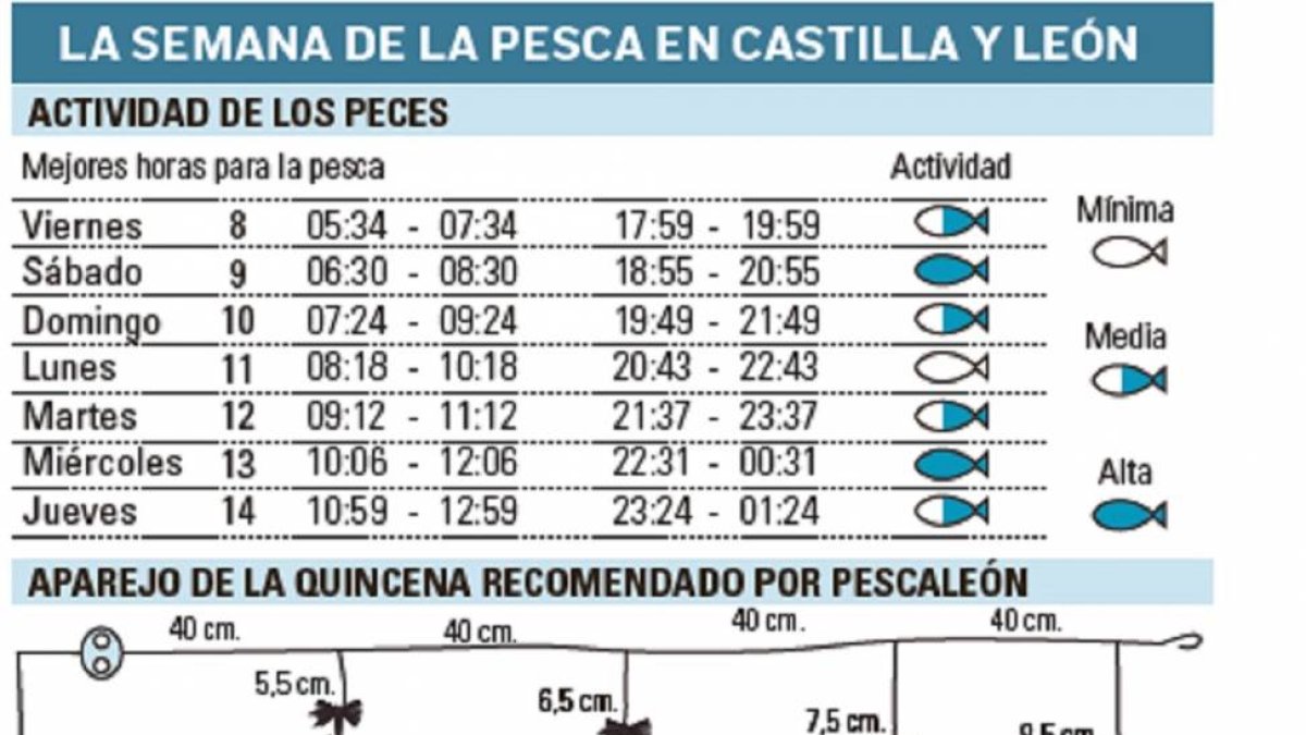 La semana de la pesca en Castilla y León-El Mundo de Castilla y León
