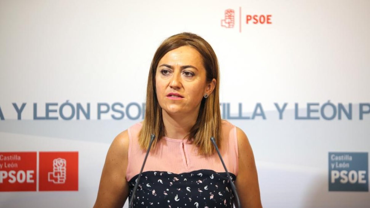 Virginia Barcones.-ICAL