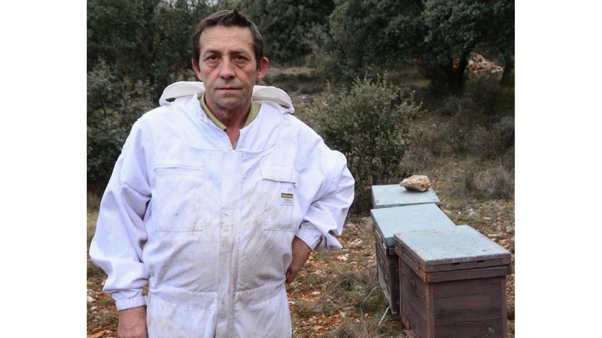 Vidal Cervero en las colmenas en la Sierra Santa Ana.-ÁLVARO MARTÍNEZ