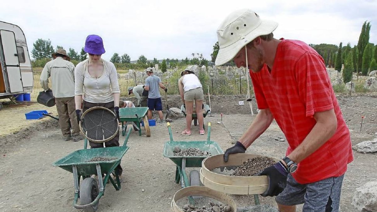 Los siete estudiantes estadounidenses y un británico trabajaban en una de las zonas de la necrópolis de Las Ruedas del poblado vacceo de Pintia.-J. M. Lostau