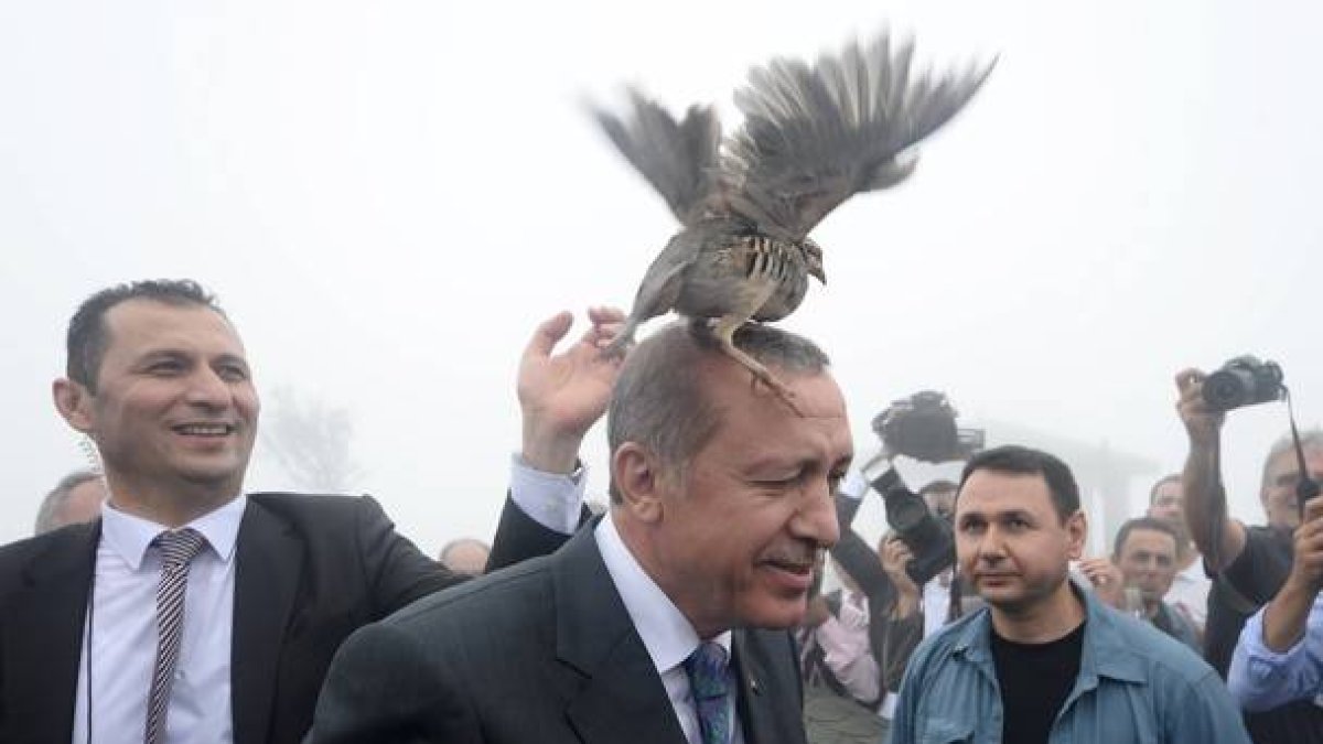 Una de las palomas que liberó el presidente turco se posa sobre su cabeza.-Foto: STRINGER/TURKEY / REUTERS