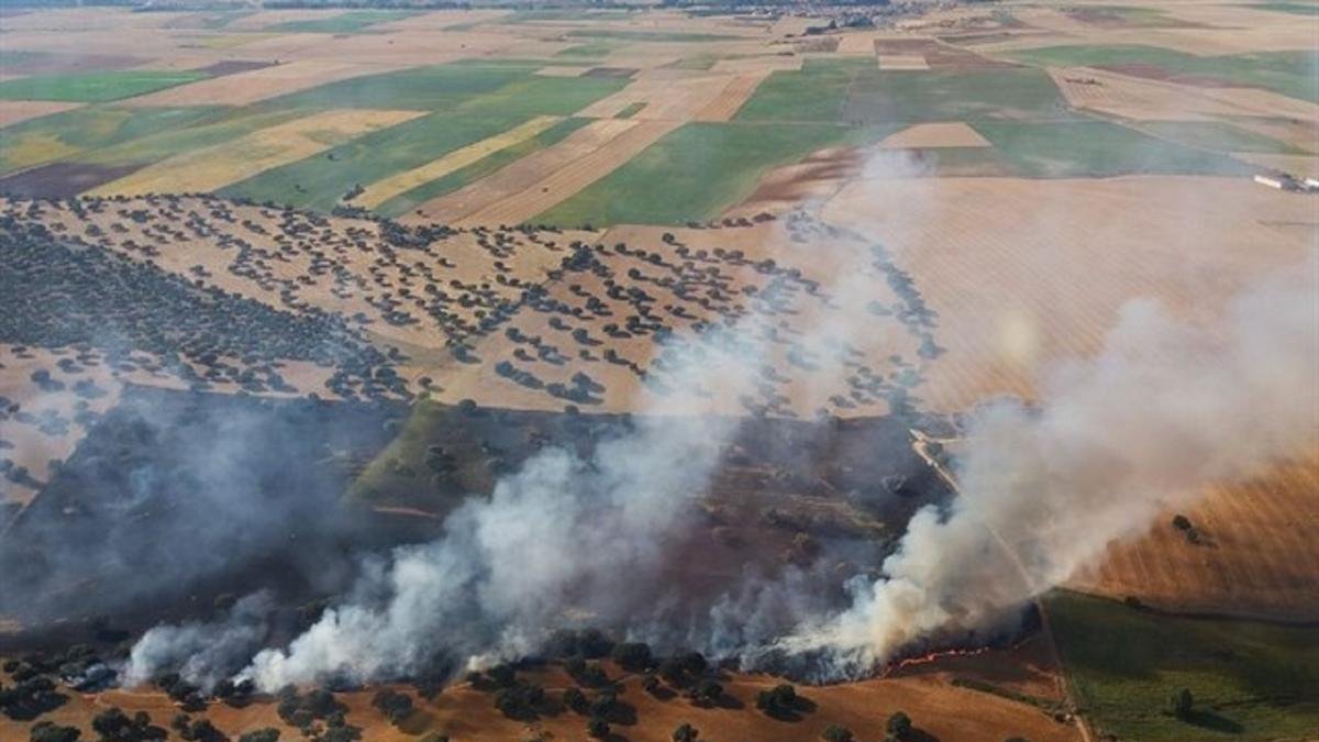 Imagen de un campo quemado.-JUNTA DE CASTILLA Y LEÓN