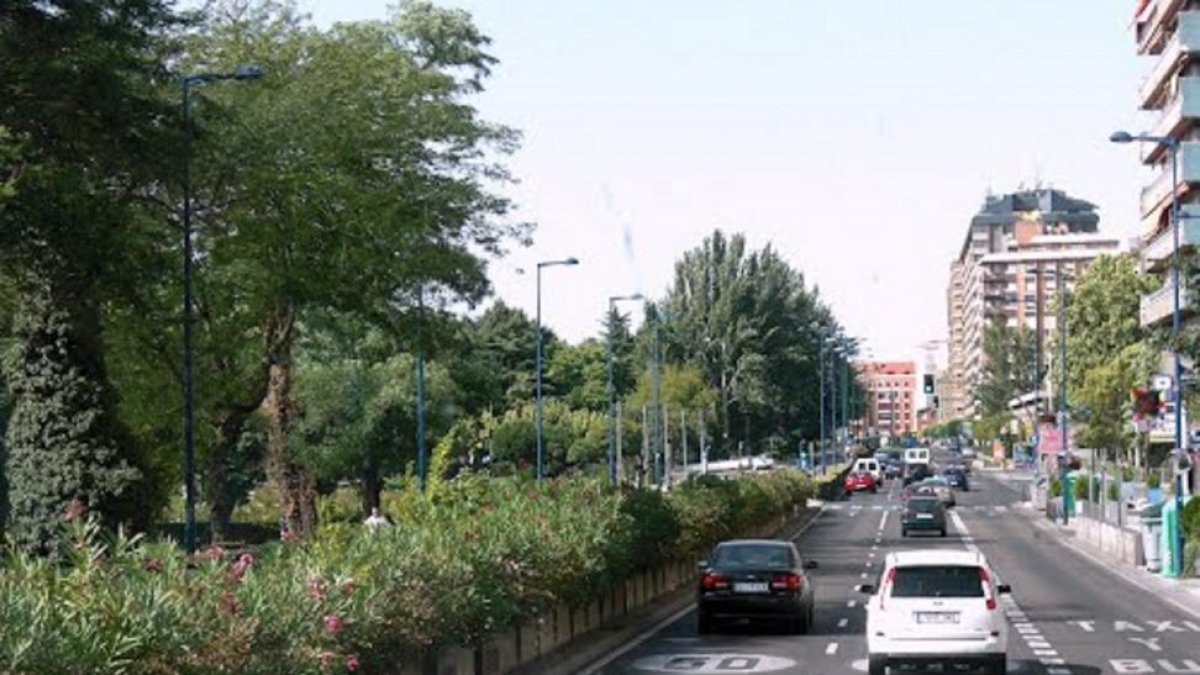 Paseo Isabel la Católica, donde se ha producido el atropello.-E. M.