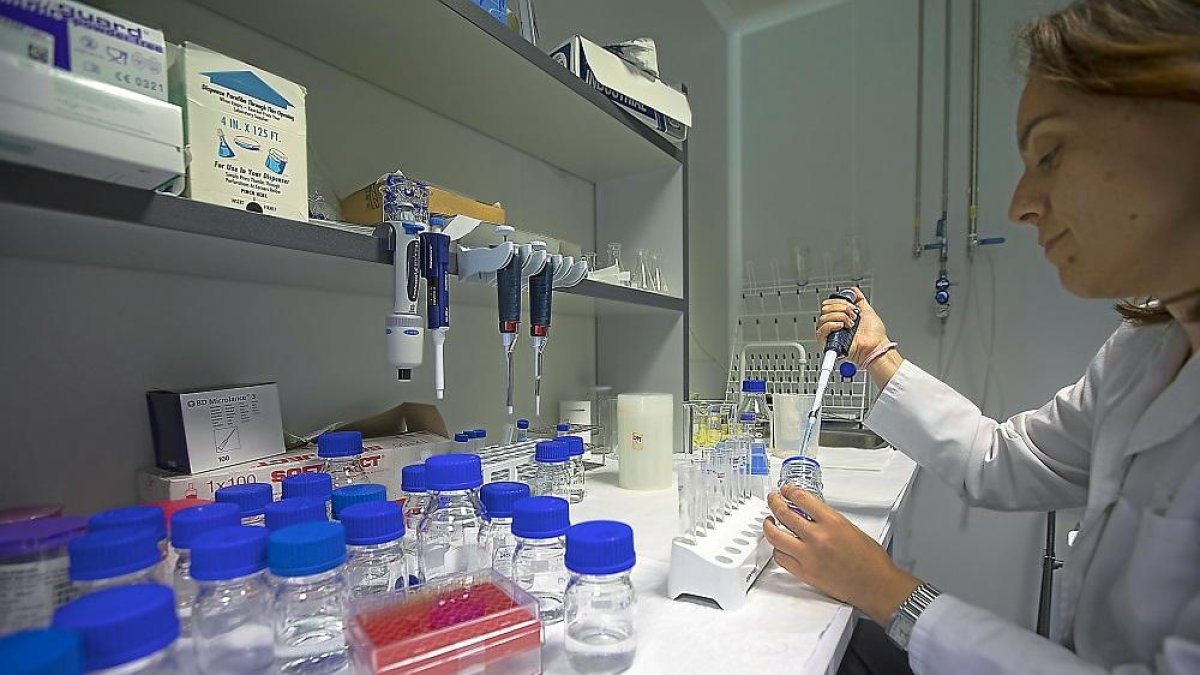 Una investigadora trabaja en las instalaciones del CSIC en la Incubadora de Empresas Biotecnológicas.-PHOTOGENIC