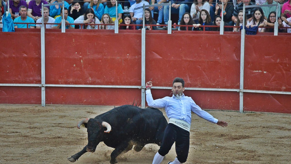 Concurso de Cortes en la plaza de toros en las fiestas de Santa Marina . - E. M.