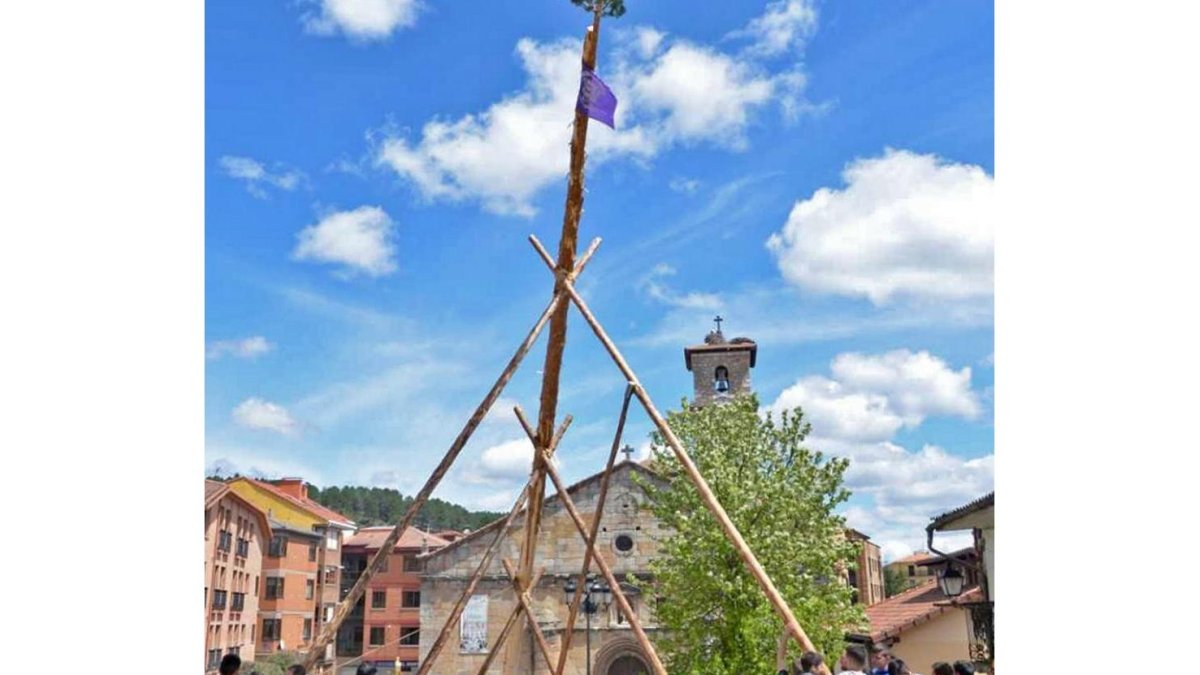 Los mozos de San Leonardo de Yagüe unieron sus fuerzas para pingar el mayo.-RAQUEL FERNÁNDEZ