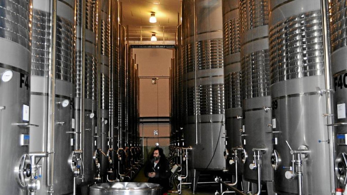 Depósito de elaboración de la bodega Cuatro Rayas-I. M.