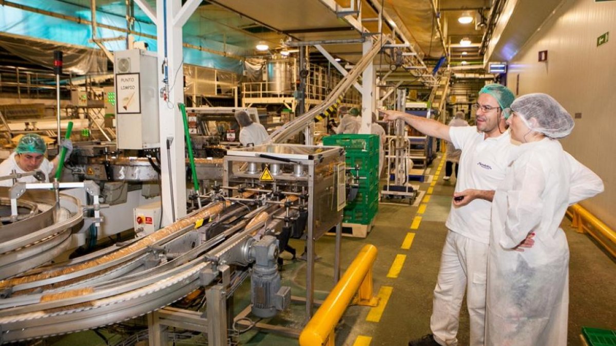 Línea de producción de galletas de la marca Fontaneda en la fábrica navarra de Viana.-EM