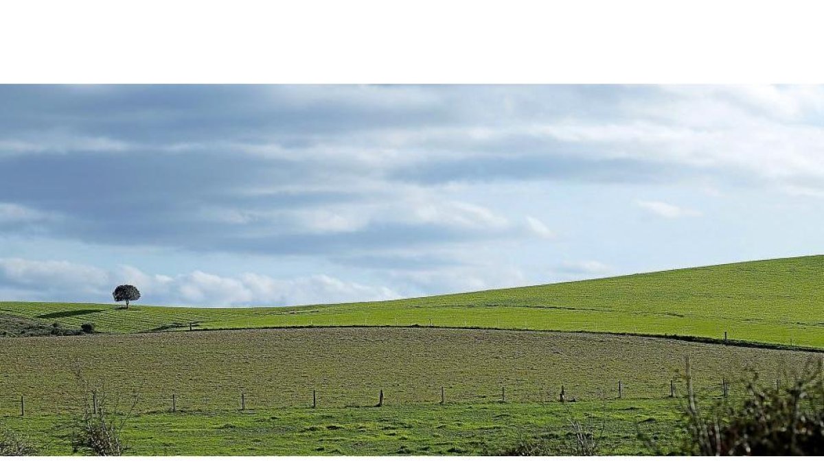 Varias tierras de cultivo en un municipio cercano a la ciudad de Salamanca.-ENRIQUE CARRASCAL