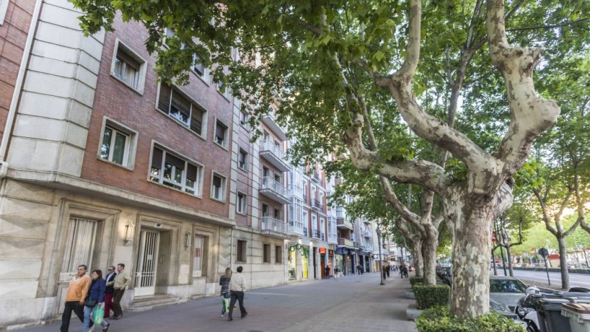 Tramo del paseo de Zorrilla, en el que se encuentra el piso adquirido por Puente-R. GARCÍA