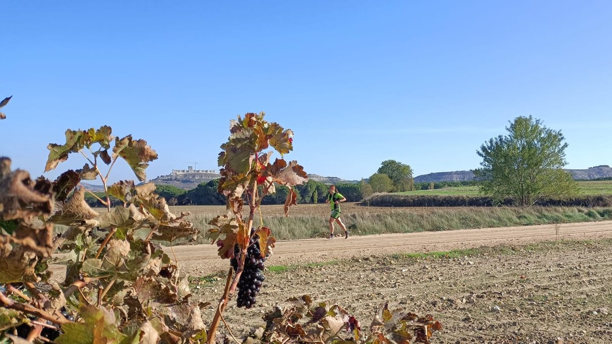 Una corredora durante la prueba en Peñafiel. / A. MARTIN / RUNVASPORT