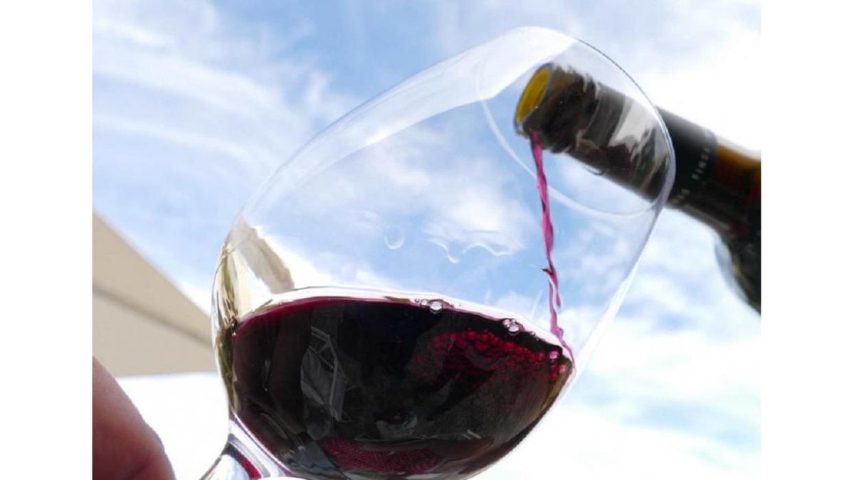 Imagen de Ribera de Duero-@DORibera