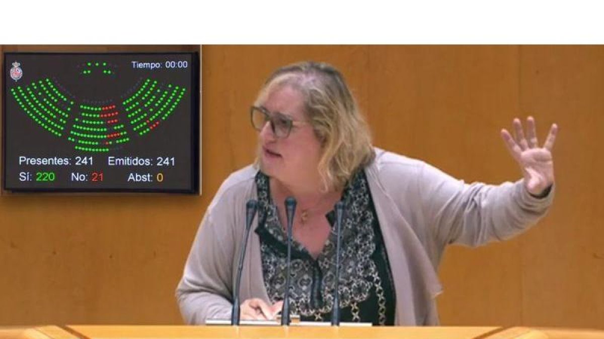 La diputada de En Marea (Grupo Unidos Podemos En Comú Podem) Celia Cánovas, junto al resultado de la votación sobre la nueva Ley Orgánica de Protección de Datos el pasado 21 de noviembre.-SDE