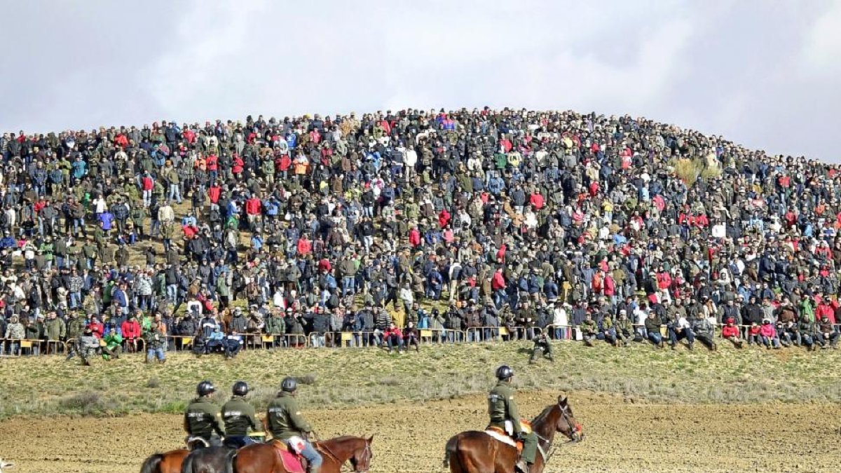 Miles de espectadores presencian la final nacional de 2014 disputada en Medina del Campo.-Leonardo de la Fuente