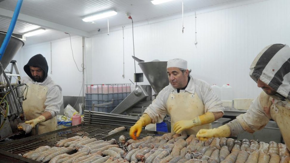 roceso de producción: Roberto Da Silva colocando las morcillas listas para su cocción-FOTOS: ISRAEL L. MURILLO