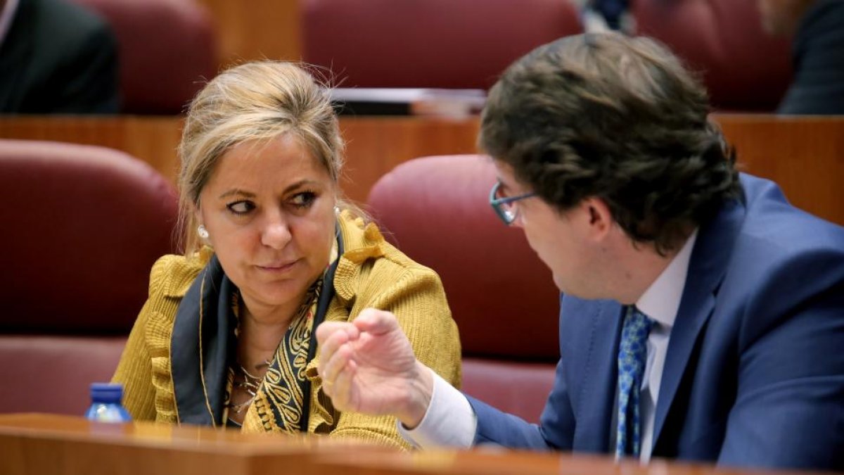 Rosa Valdeón dialoga con Alfonso Fernández Mañueco, hoy en el Pleno de las Cortes-ICAL